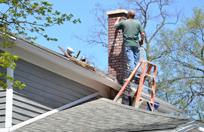Chimney & Fireplace Inspections Services in Palm Harbor, FL