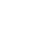 Professional Chimney Flue Installation in Palm Harbor, Florida