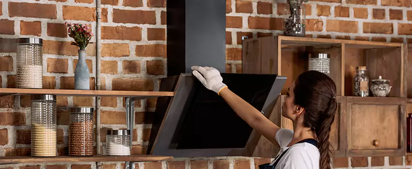 Chimney Installation in Palm Harbor, FL