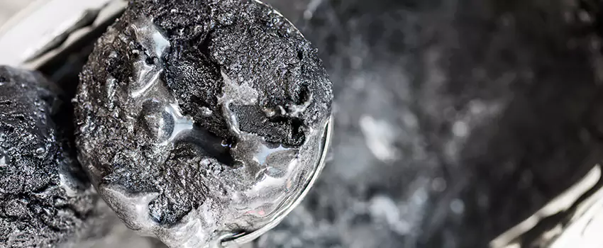 Clogged Dryer Vent Lint Cleaning in Palm Harbor, Florida