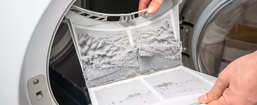 Best Dryer Lint Removal Company in Palm Harbor, Florida