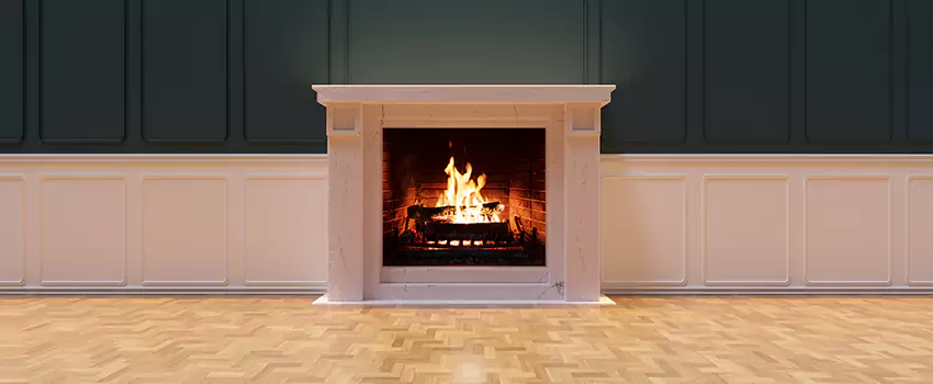 Napoleon Electric Fireplaces Inspection Service in Palm Harbor, Florida