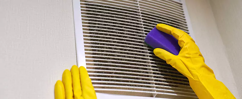 Vent Cleaning Company in Palm Harbor, FL
