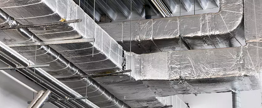 Vent Dust Cleaning Cost in Palm Harbor, FL