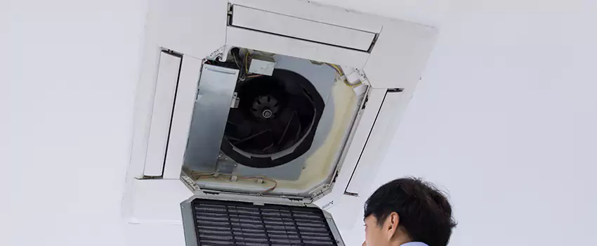 Benefits of Professional Air Duct Cleaning in Palm Harbor, Florida
