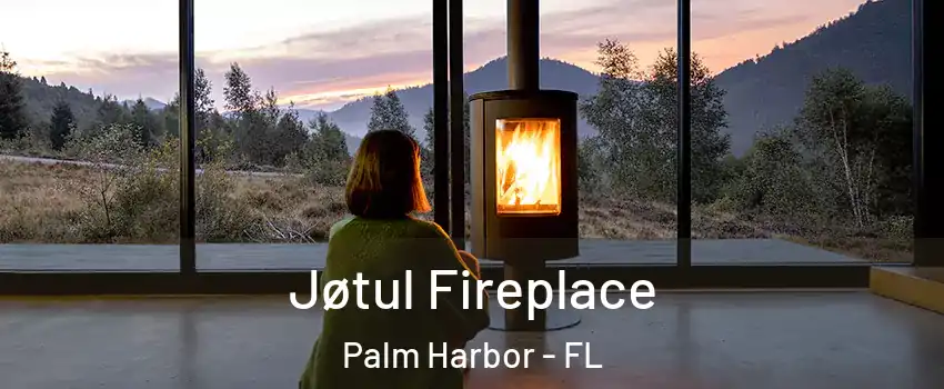  Jøtul Fireplace Palm Harbor - FL