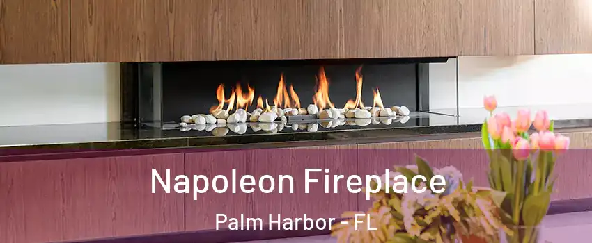  Napoleon Fireplace Palm Harbor - FL
