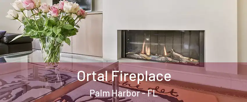 Ortal Fireplace Palm Harbor - FL