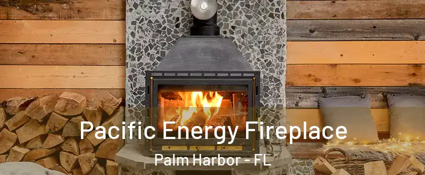  Pacific Energy Fireplace Palm Harbor - FL