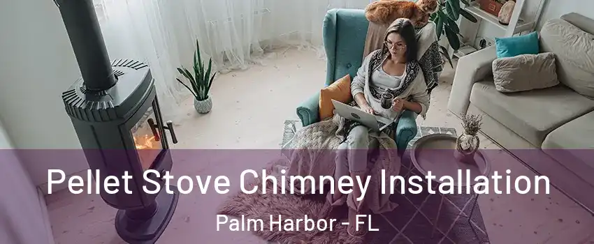  Pellet Stove Chimney Installation Palm Harbor - FL