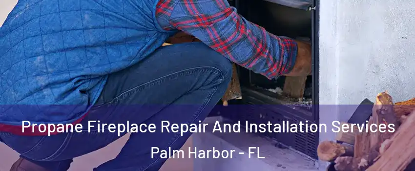  Propane Fireplace Repair And Installation Services Palm Harbor - FL