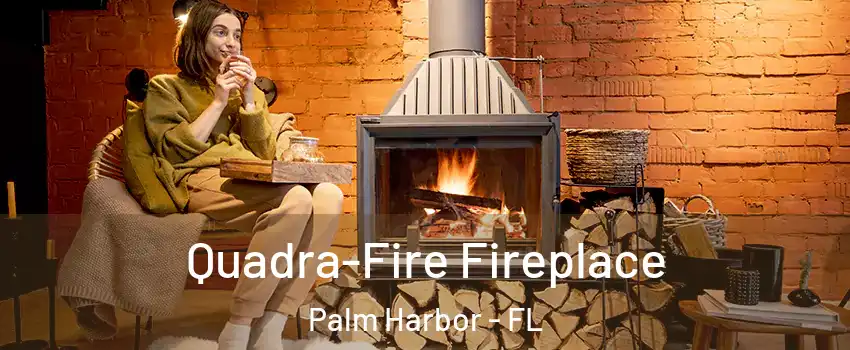  Quadra-Fire Fireplace Palm Harbor - FL