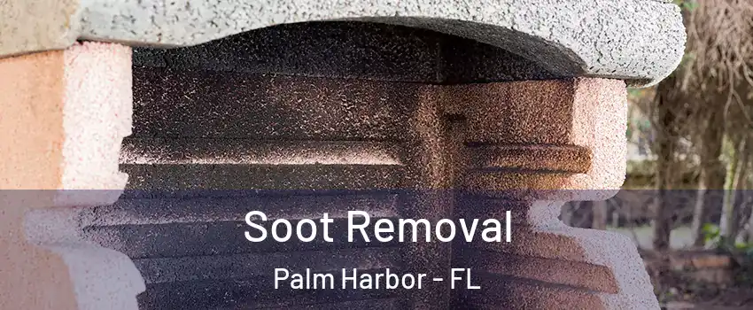  Soot Removal Palm Harbor - FL