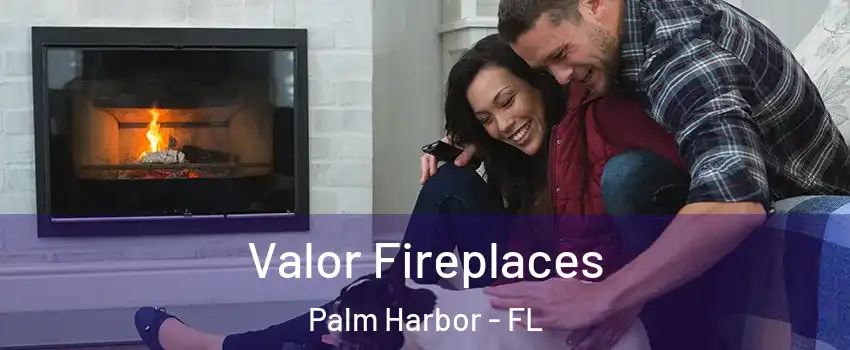  Valor Fireplaces Palm Harbor - FL