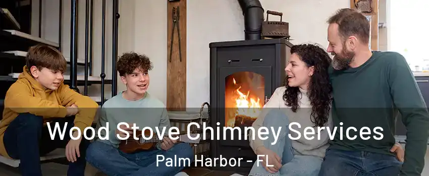  Wood Stove Chimney Services Palm Harbor - FL